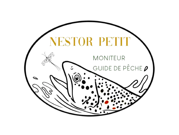 Nestor Petit Guide Peche